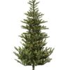 6′ Alberta Spruce Christmas Tree w/300 Warm White Dura-lit LED